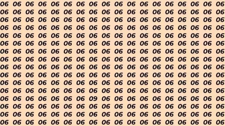 Observation Skill Test: If you have Eagle Eyes Find the number 09 among 06 in 10 Seconds?