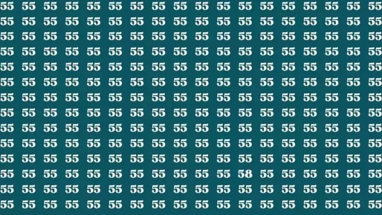 Optical Illusion Brain Challenge: If you have Hawk Eyes Find the Number 58 among 55 in 15 Secs