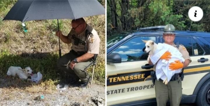 A kind police officer adopted a dog he rescued from the extreme heat by the highway in Tennessee.
