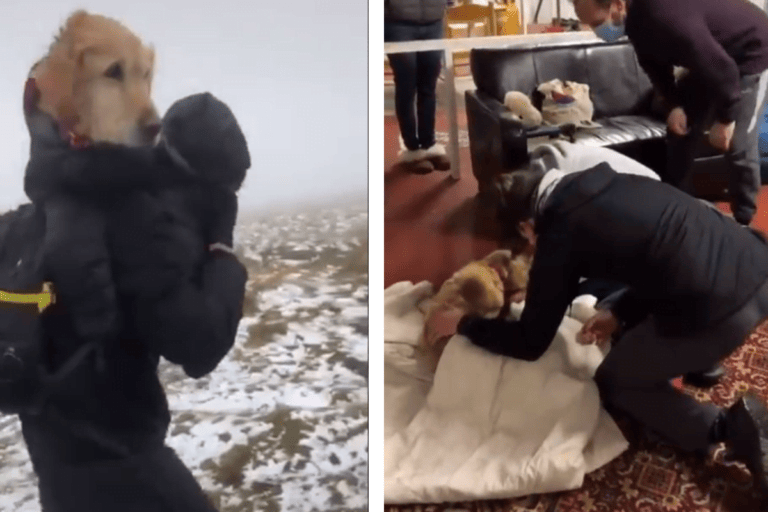 A real miracle.  Couple rescues lost dog on snowy mountain in cold weather