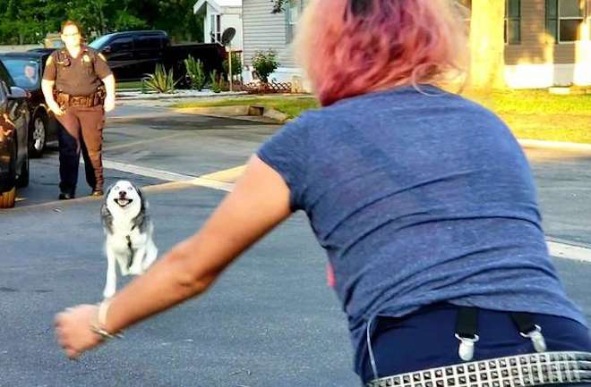 A story that touches the heart.  Finally, the woman who lost her dog to illness found her dog.  She had been looking for her for two years.