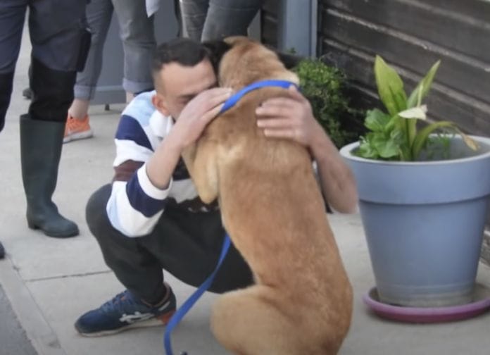 A touching and emotional moment.  Finally, a man found his stolen dog after 8 months