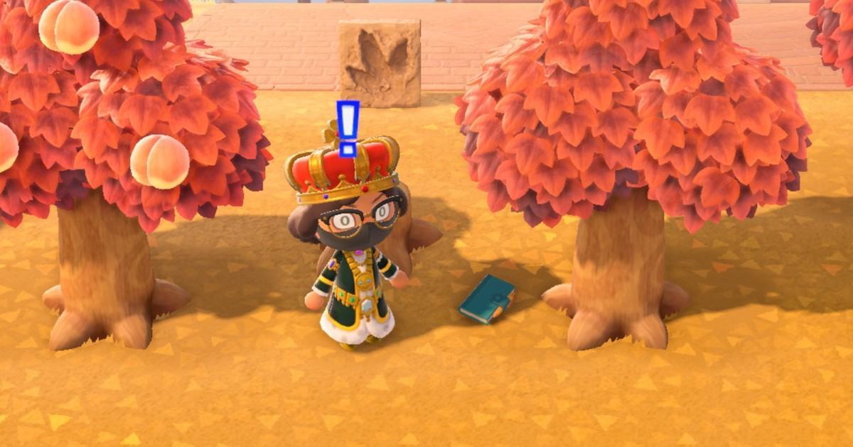 Animal Crossing: New Horizons lost item guide