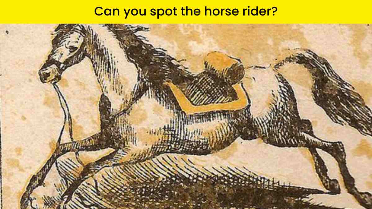 Visual Test- Spot the hidden horse rider