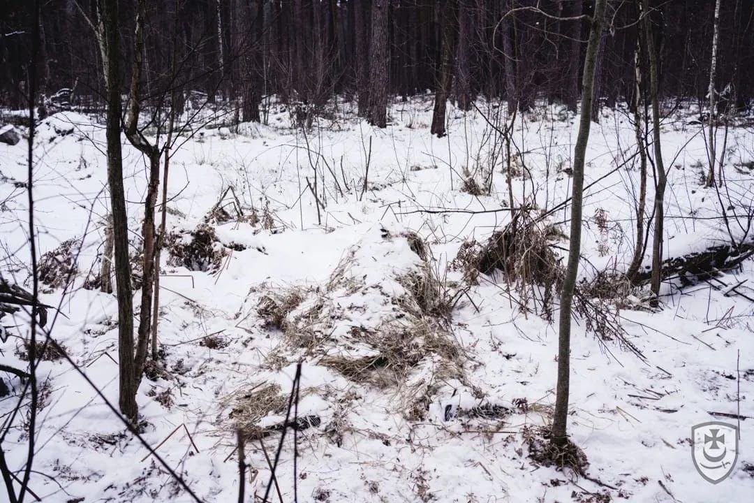 Can you spot the perfectly camouflaged snipers hiding in the snowy forest in these images before they take you out?