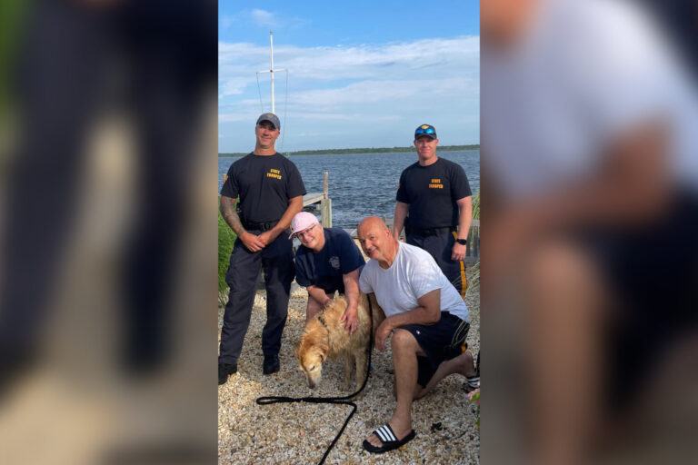 Chunk, a golden retriever missing for 16 days, is found swimming in the bay of New Jersey