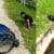 Disabled man gets out of wheelchair risking his life to save cat stuck in sewer