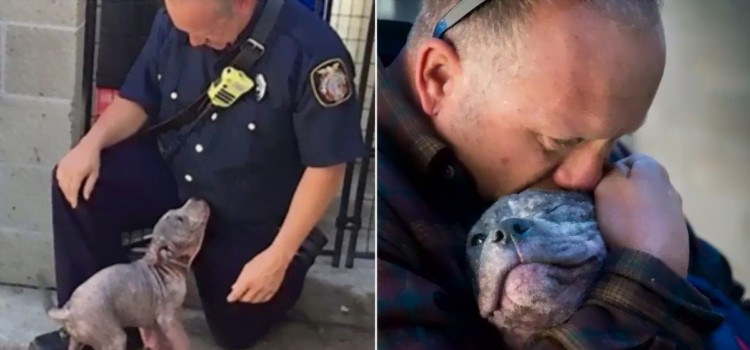 Firefighters adopt a rescue dog and can't leave the dog