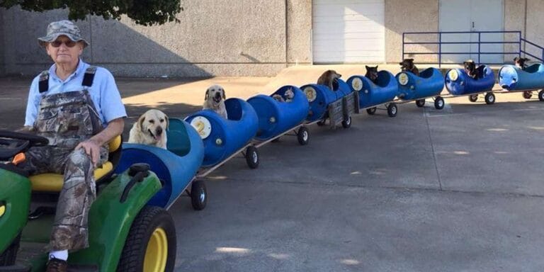 Funny videos.  A pensioner built a special dog train to take his rescued dogs on small trips