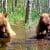 Hidden camera captures cute bathing scene with teddy bears