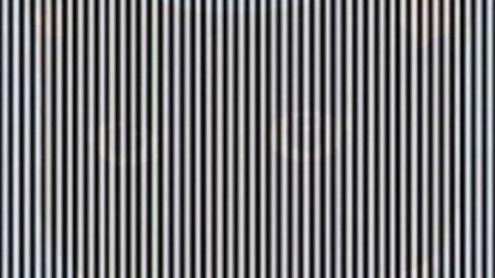 If you can spot the animal hidden in this optical illusion within 5 seconds then you're a genius