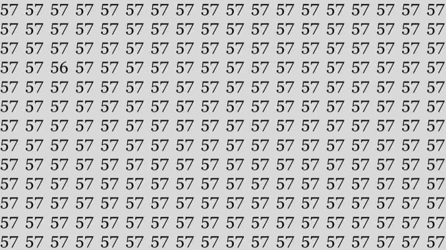 If you have Hawk Eyes find the Number 56 among 57 in 10 Seconds. Optical Illusion Challenge