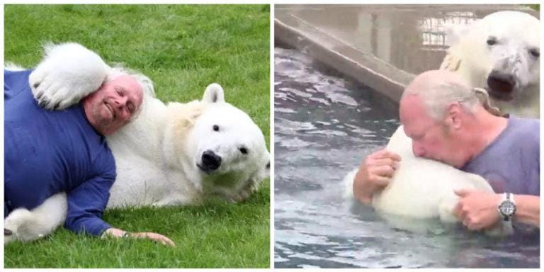 Initial friendship.  67-year-old Canadian man has been best friends with polar bears for 23 years