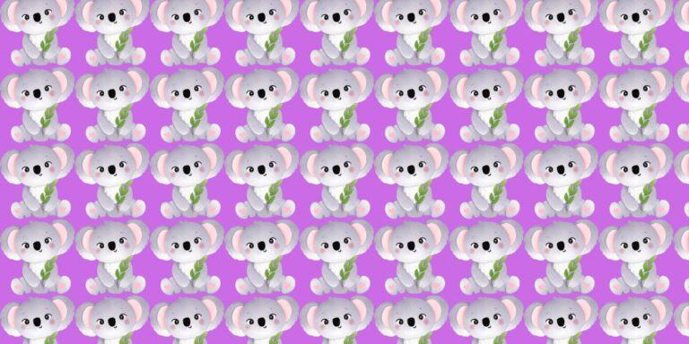 Observation brain teaser: Can you spot the odd one among koalas in less than 15 seconds?
