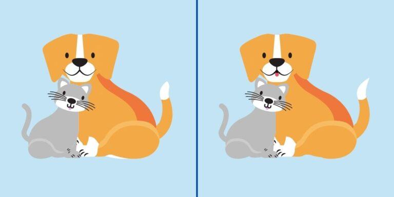 Observation test: Can you spot the 4 differences between the 2 pictures of a cat and a dog? Only genius paws can!