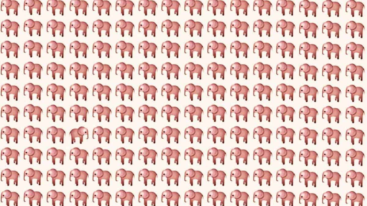 Find the Odd Elephant in 7 Seconds