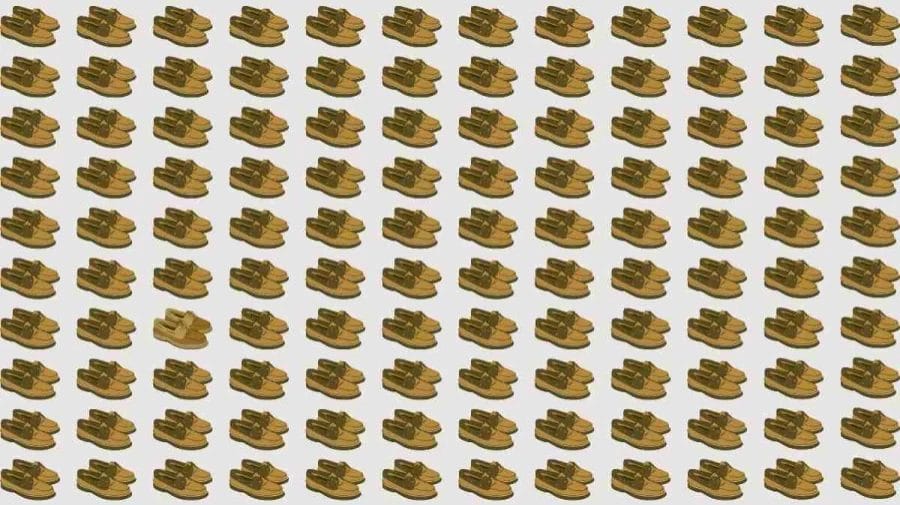 Optical Illusion Brain Test: If you have Sharp Eyes find the Odd Shoes in 8 Seconds