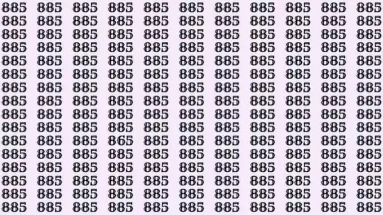 Optical Illusion: If you have sharp eyes find 865 among 885 in 12 Seconds?