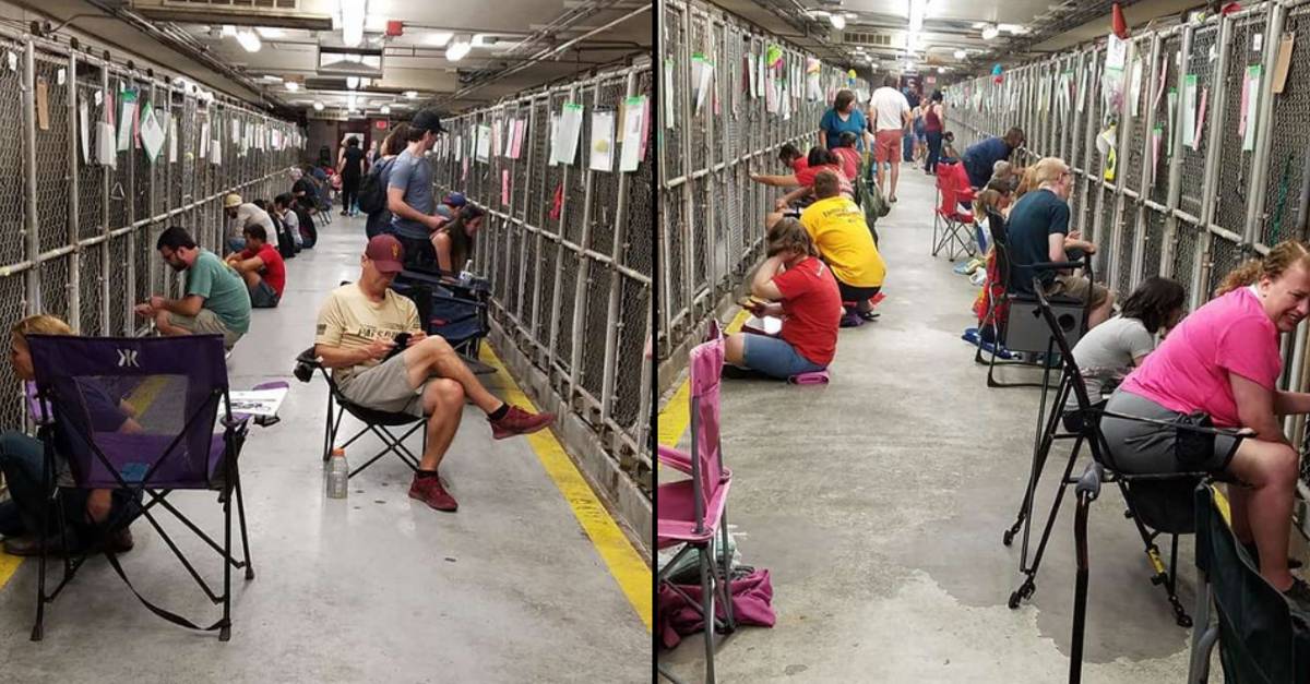 People will comfort scared shelter animals while setting off fireworks instead of going out on the 4th of July