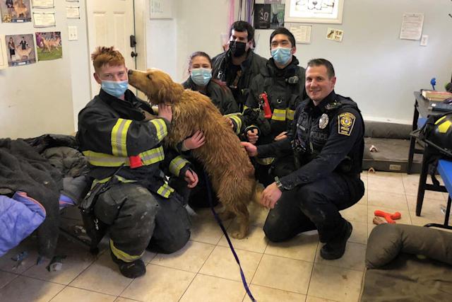Rescued golden retriever thanked firefighters and policemen with kisses and hugs