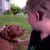 Smart dog saves deaf boy's life from burning house
