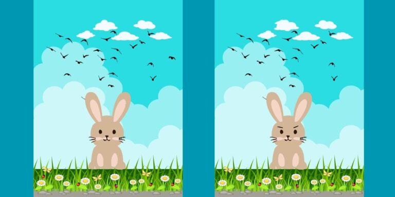 Spot the difference: A rabbit’s challenge – Can you spot the 4 differences?