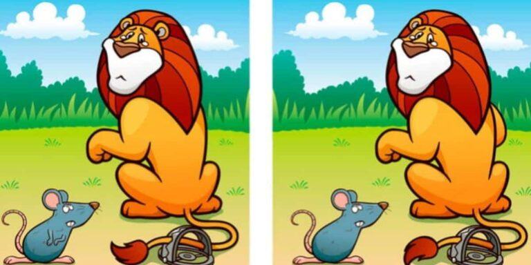 Spot the difference: Can you find 5 differences in 10 seconds max? Only geniuses can!