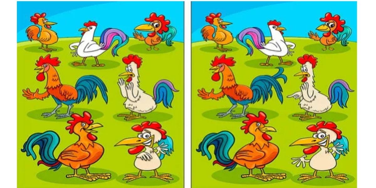 Spot the difference: Can you find 6 differences in 30 seconds max? Only geniuses can!