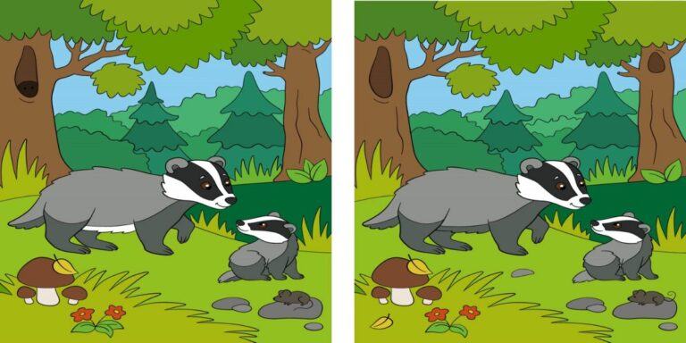 Spot the difference: Can you spot 12 differences in 45 seconds? Only a genius could do it!