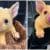 Staff at a veterinary clinic in Australia rescued a yellow animal that looks like a real-life Pokemon