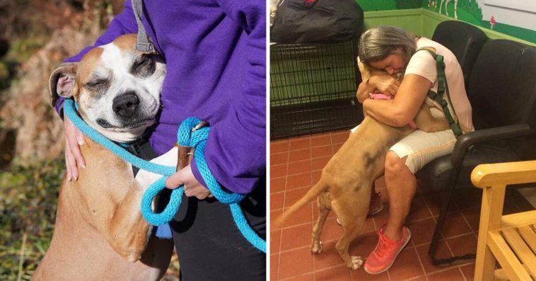 The cute and cuddly dog ​​chained to the fence was rescued and is now hugging someone to thank