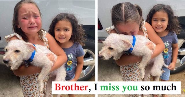 The little girl burst into tears of happiness because she finally met the missing dog