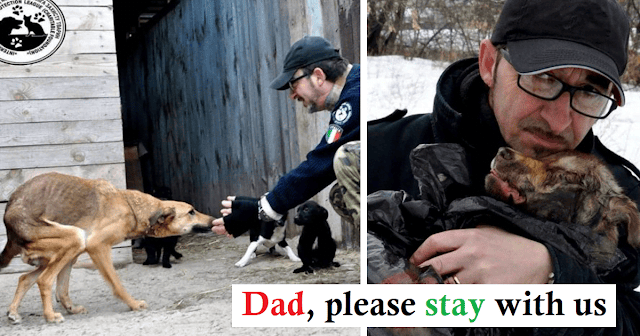 The savior does not want to leave his 450 animals in Ukraine and prefers to stay with them