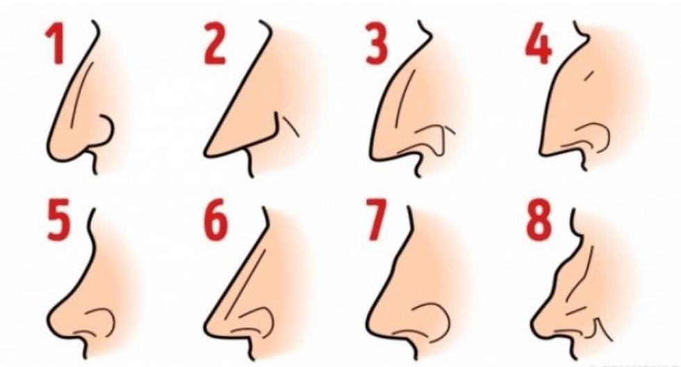 The shape of your nose reveals whether you have a majestic appearance or not