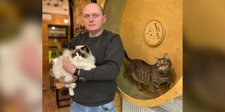 Ukrainian cat cafe is still open to take care of cats and visitors even during the war