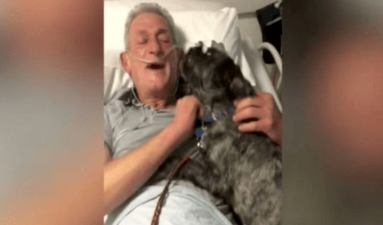Videotapes.  A cute and amazing dog saved his owner by pulling him out of a horrible coma and giving him a second chance at life.