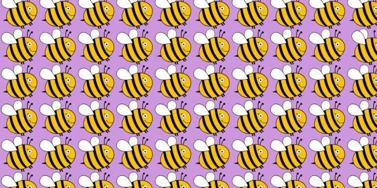 Visual brain teaser: Find the odd bee in less than 15 seconds! Can you beat the clock?