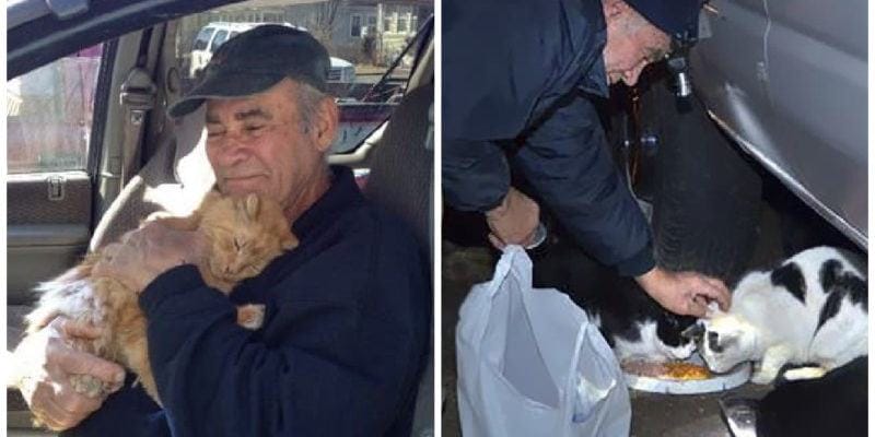 76-year-old man collects food every day to feed starving homeless cats