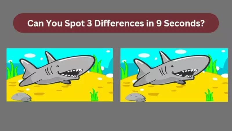 Detect three differences between two pictures within 9 seconds.