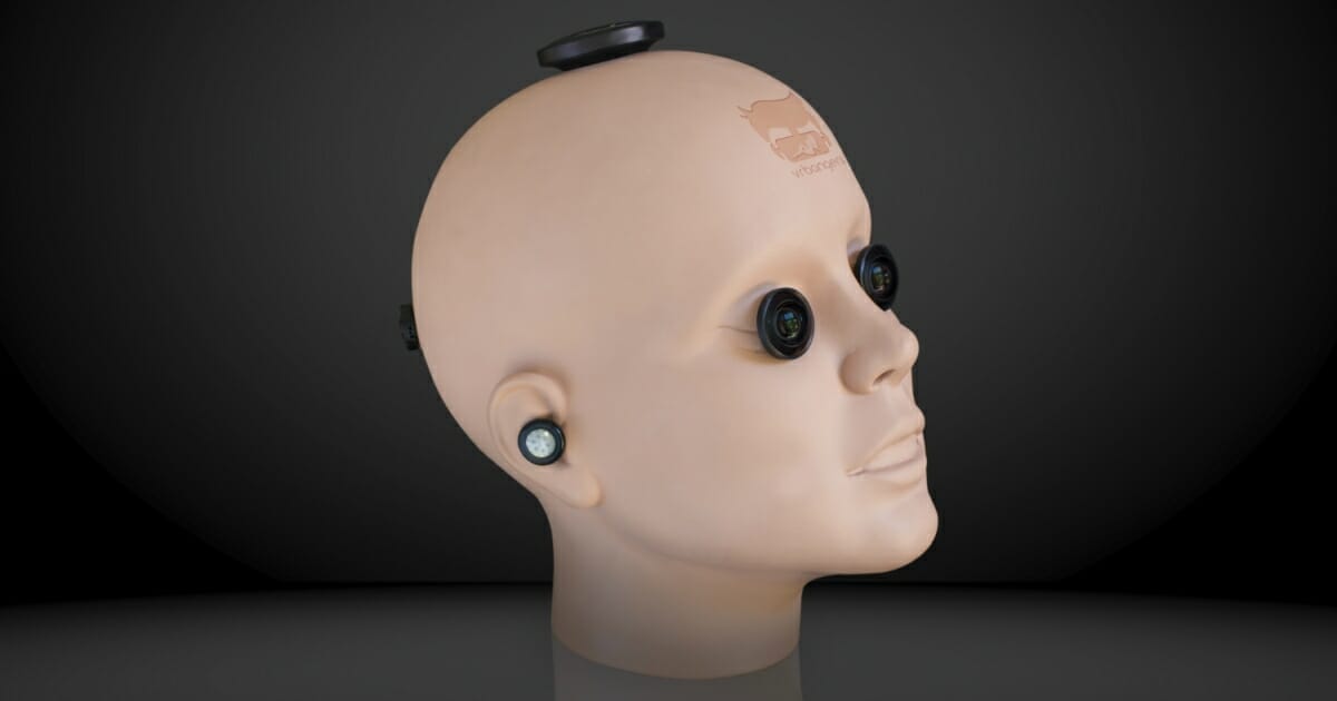 It may look revolting, but this mannequin head camera could be future of VR porn