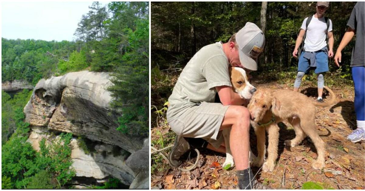 Miracle.  A dog survives after falling off a 170-foot cliff