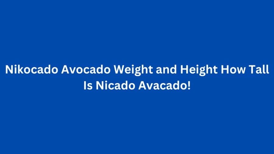 Nikocado Avocado Weight and Height How Tall Is Nicado Avacado!