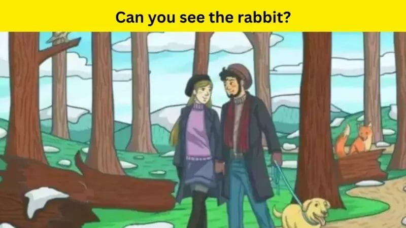 Only people with great minds can find the rabbit.  Are you highly intellectual?