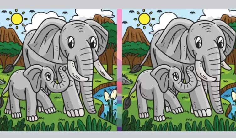 Optical Illusion: If you have eagle eyes, find the difference between the two pictures in 20 seconds?