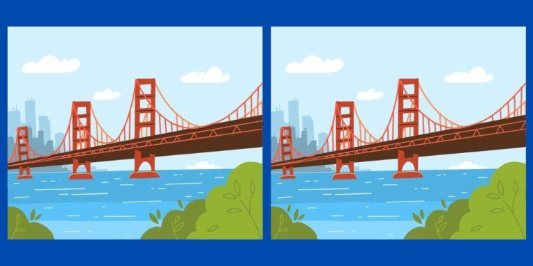 Spot the difference: Can you bridge the gap and find the 4 differences? Only geniuses will succeed!