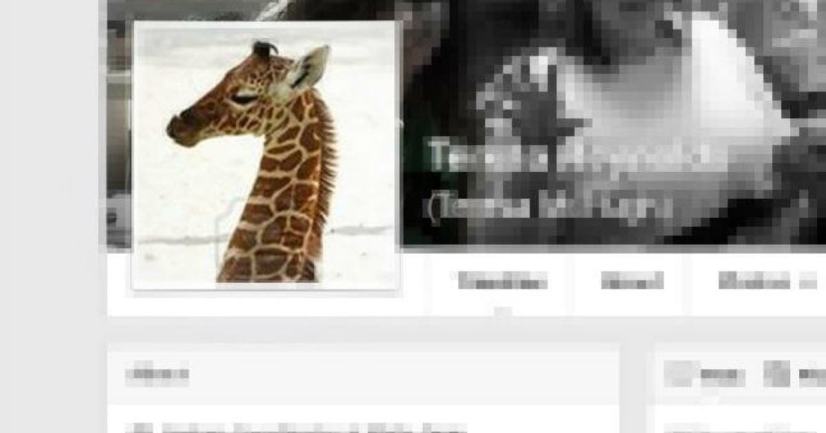 Suddenly Facebook friends with a lot of giraffes? Here’s why