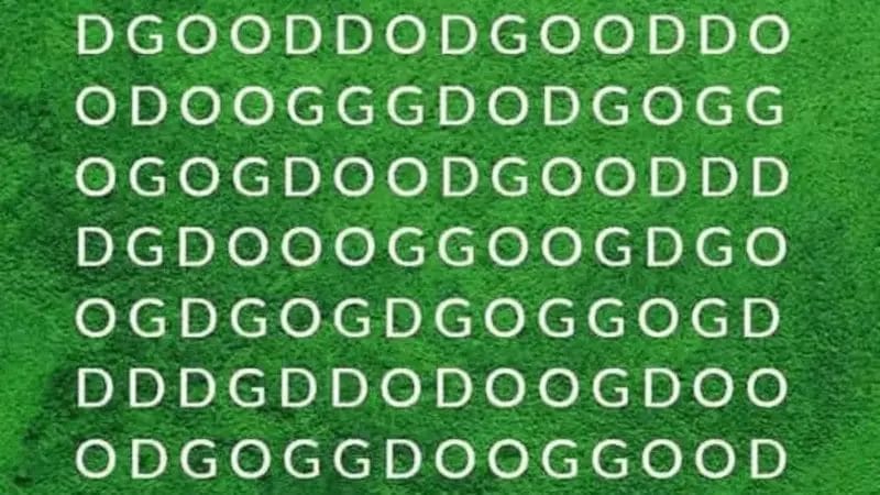 Ultimate Brain Teaser: You have the eyes of a sniper if you can find the word ”DOG” in the picture in 5 seconds. Test your visual skills now!