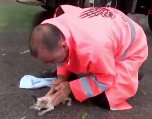Videotapes.  A touching story about a kind road worker who saved a drowning cat's life
