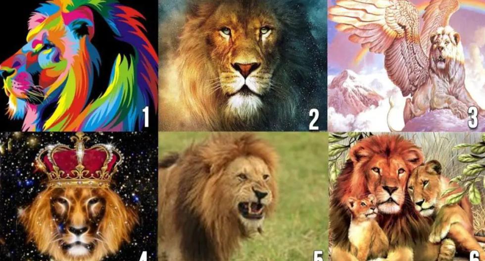 You will find out what kind of partner you need by choosing a lion from the picture