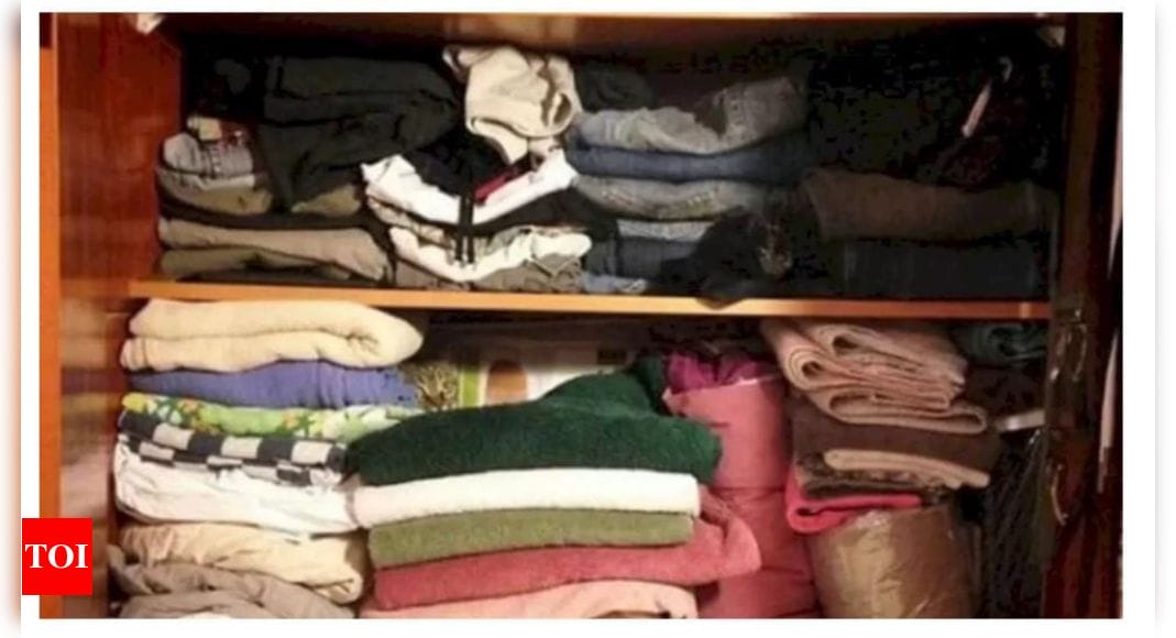 Optical illusion: Can you spot the cat in this cupboard in 5 seconds?